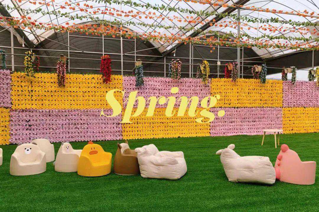 紧急预警！卯兔未来三天遭遇重大挑战，一键解锁，秒破难题！