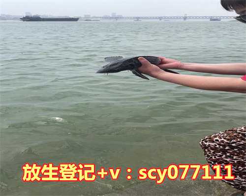 五行属性下最成功的生肖猪：哪年出生的猪人最能赚大钱？