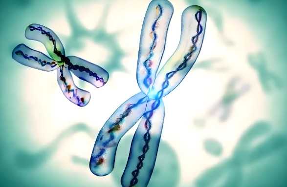 巨蟹座2025每月运势、注意事项及搞钱指南