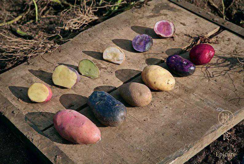 脸上有肉让女性年轻3到5岁 “青春若有张不老的脸我敢打赌是肉脸”