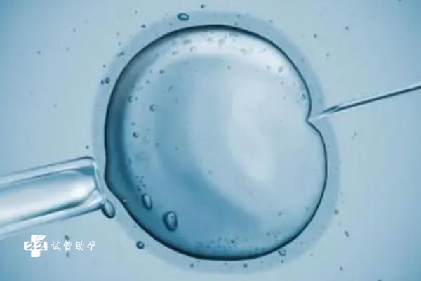 3·31生肖运势大揭秘：今日你是幸运儿，还是需小心避雷？