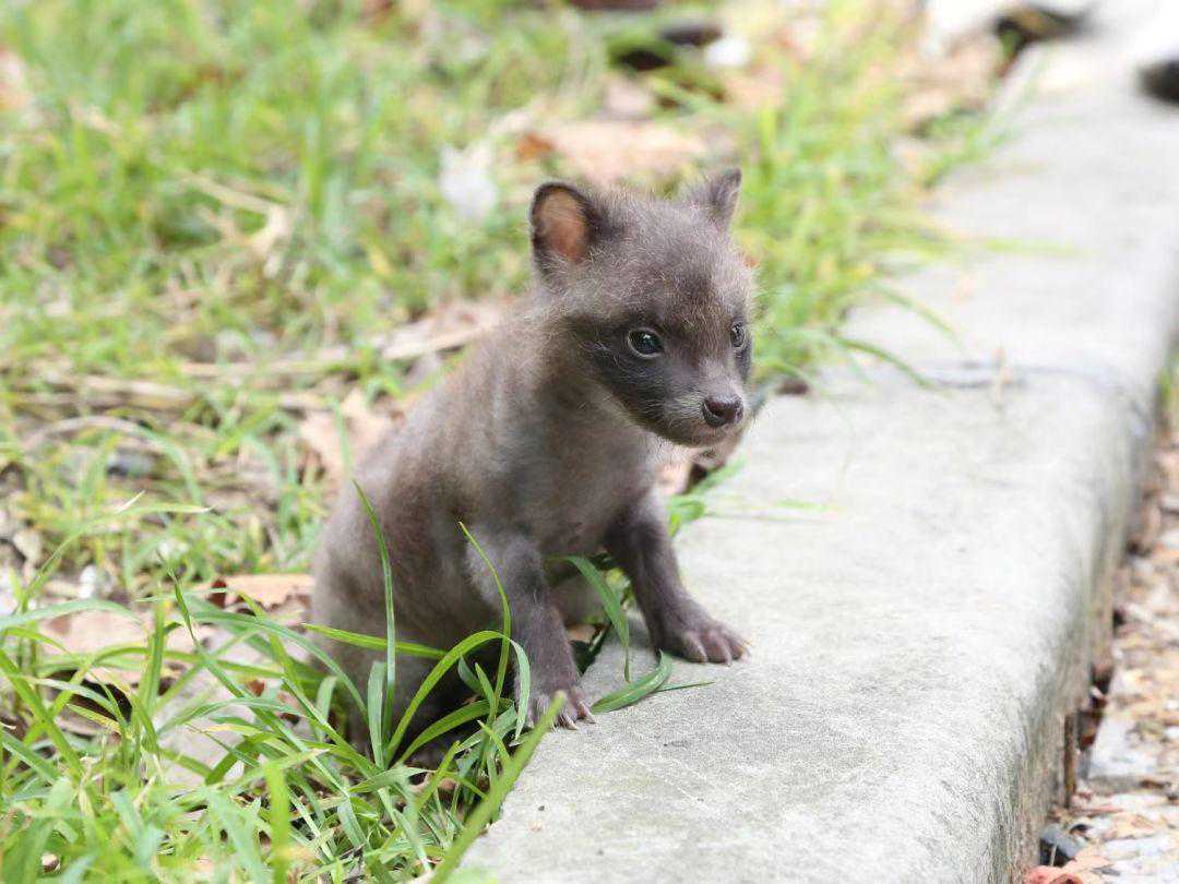 2025开春午马运势：这三点把握住，日子越过越红火！