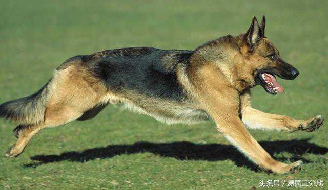 双子座4.13运势：神秘“霉运”来袭，转机藏于何处？