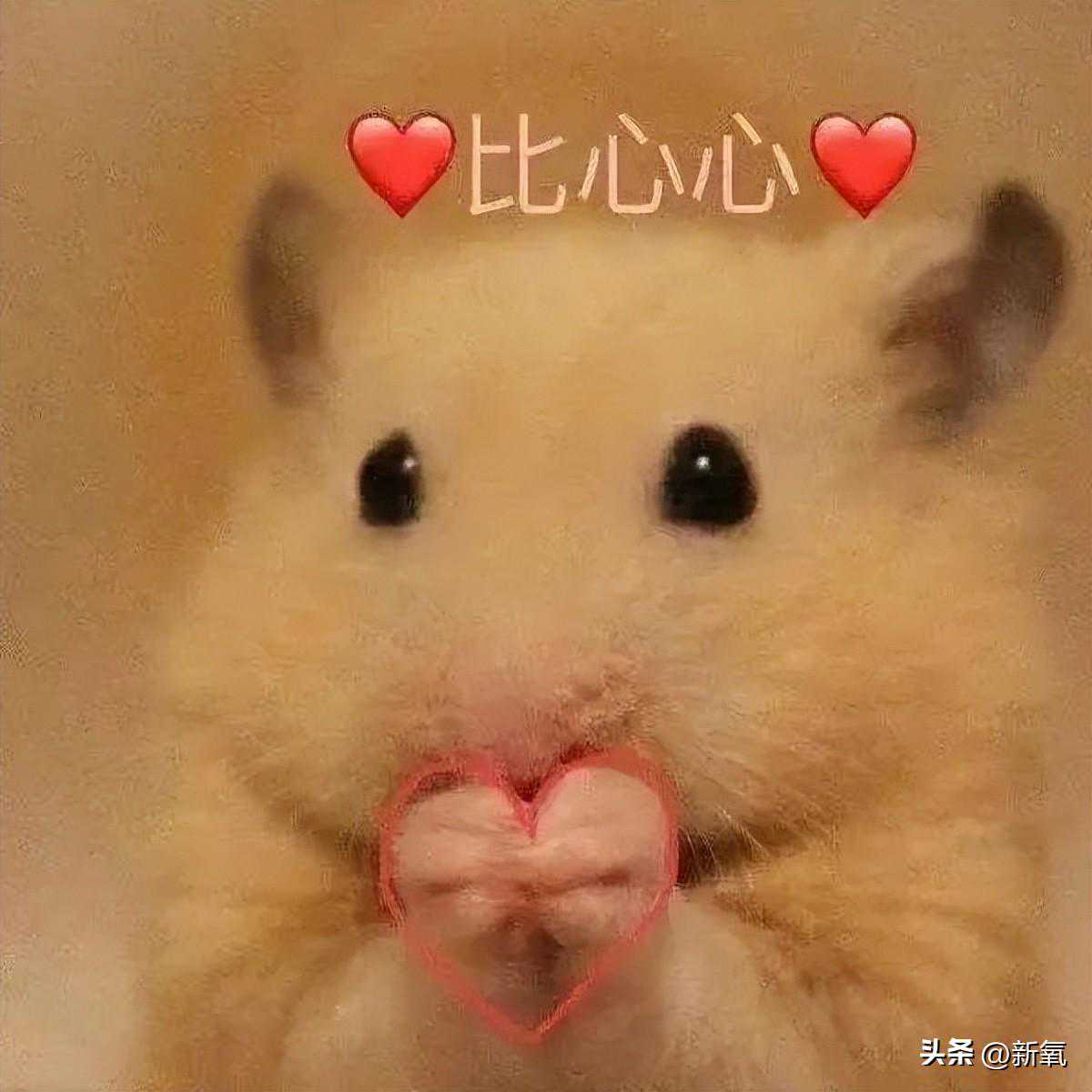 如何通过面相学判断一个人的性格和运势？