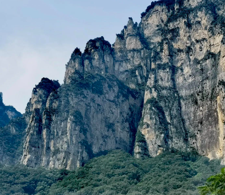 属鼠人2025受吉星庇佑，必当鸿运当头！