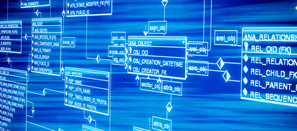 浅谈内经中的运气与病变