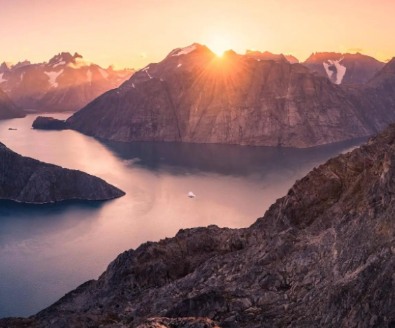 心理测试：你喜欢哪朵茶花？看一看你最近有什么好事发生