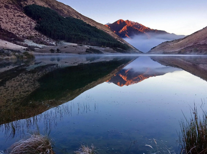 生肖男蛇与生肖女狗：探秘奇妙缘分的人生密码